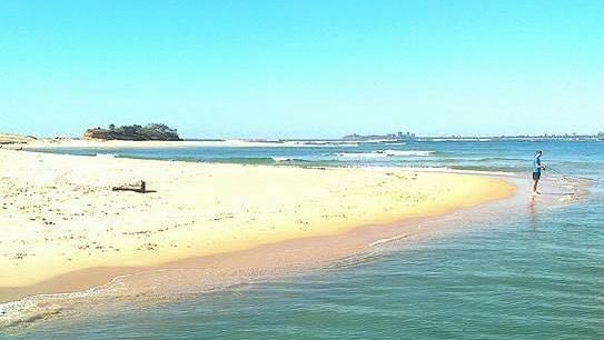 Morning Tea to Cotton Tree