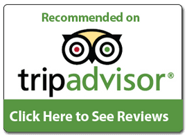 TripAdvisor logo